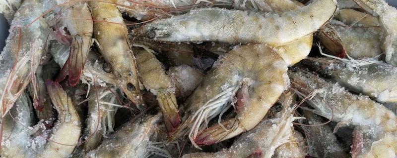 如何冷冻新鲜的虾