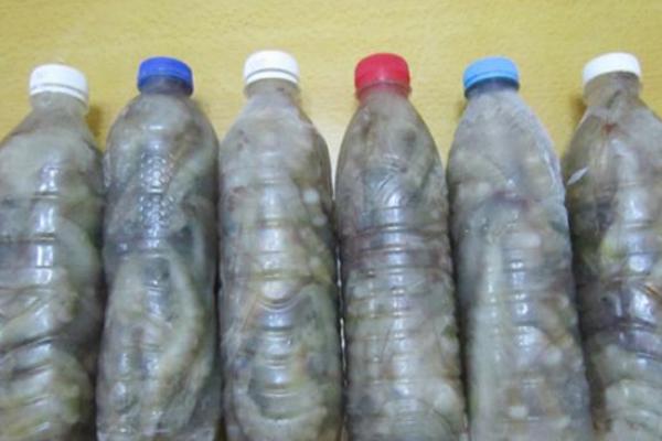 如何冷冻新鲜的虾