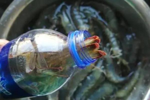 如何冷冻新鲜的虾