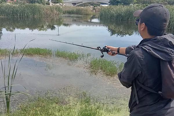 路亚钓翘嘴的技巧和方法