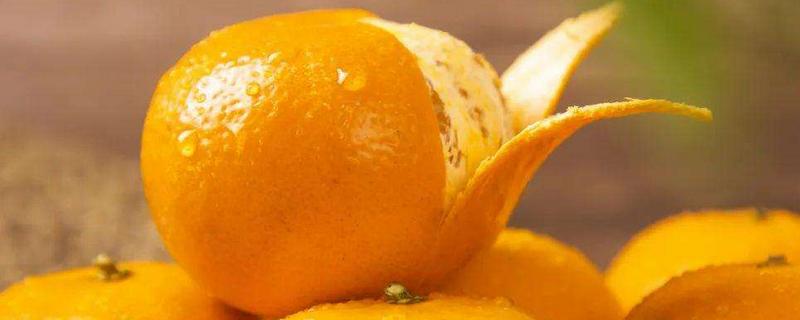 柑桔皮厚是什么原因