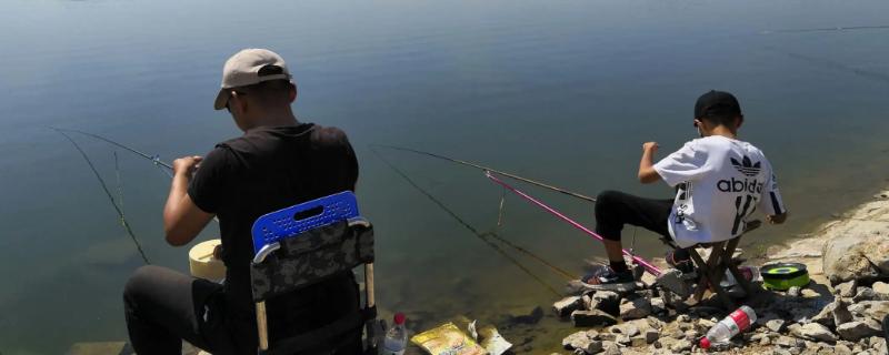 泥鳅钓翘嘴鱼的技巧