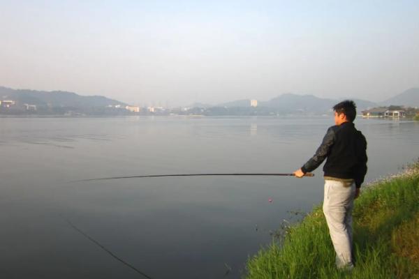 泥鳅钓翘嘴鱼的技巧