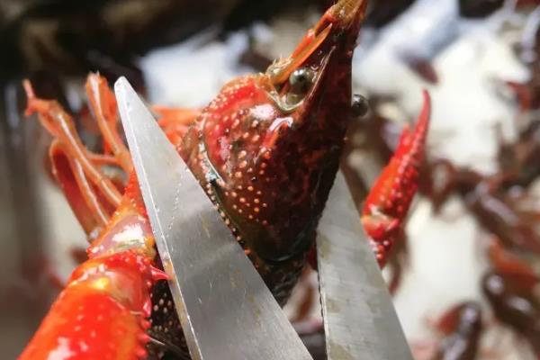 吃小龙虾的季节