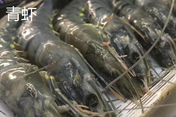 青虾和对虾的区别