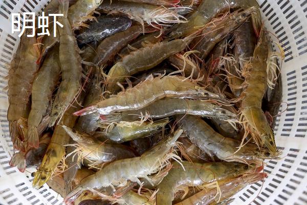 明虾和对虾什么区别