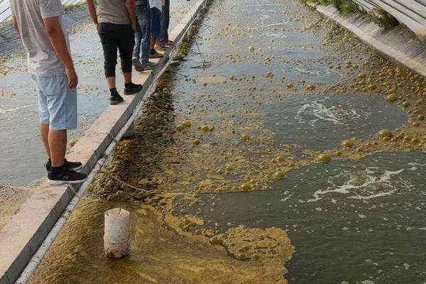 对虾养殖温度和盐度