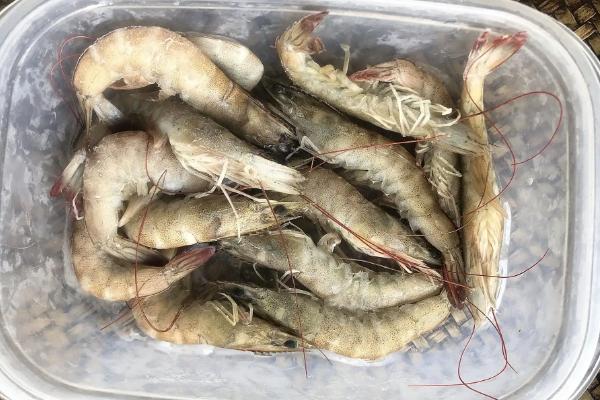 对虾保鲜方法