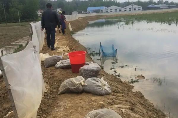 淡水对虾养殖技术