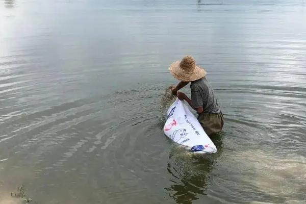 淡水对虾养殖技术