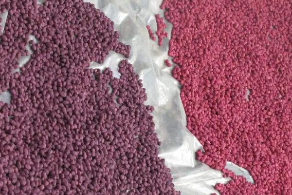 棉花是怎么种的