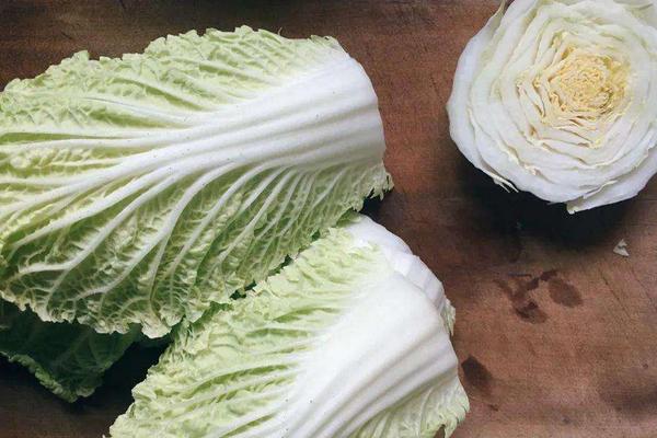 白菜吃的是什么部位