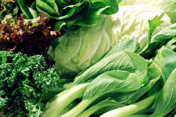 白菜吃的是什么部位