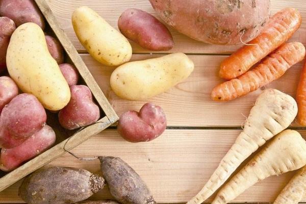 白菜吃的是什么部位