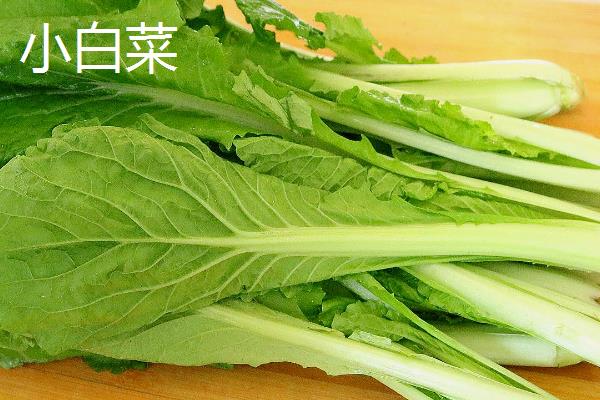 鸡毛菜和小白菜的区别