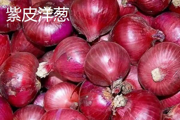 黄皮洋葱和紫皮洋葱有什么区别