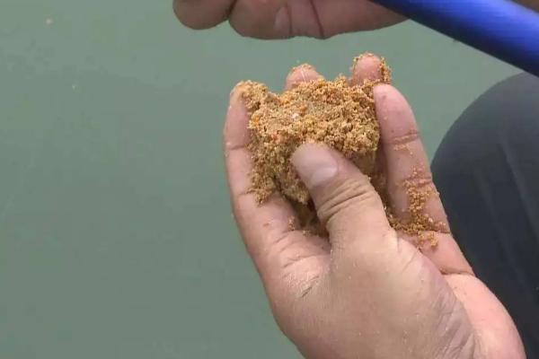 大麦红薯膏什么季节用