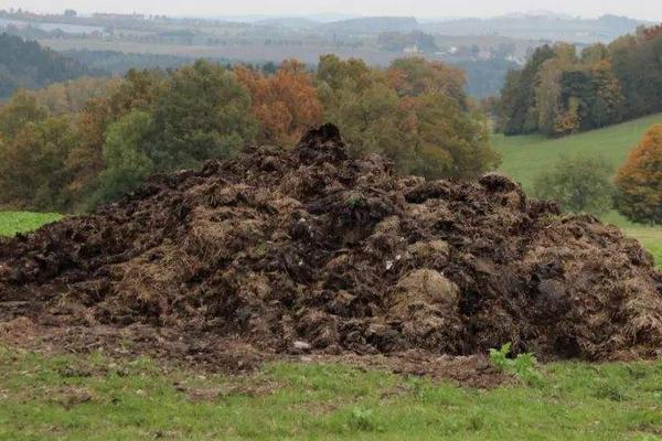 人尿是氮肥还是钾肥