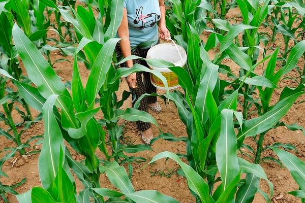 人尿是氮肥还是钾肥