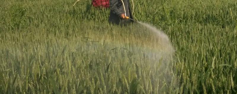 笨甲呲唑酯是什么农药