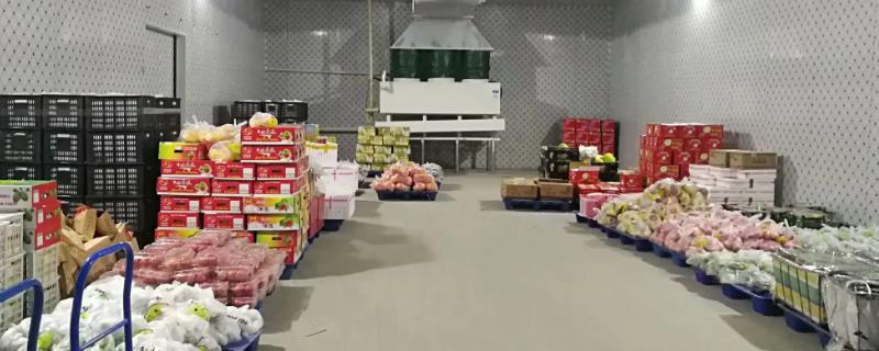 新鲜小白菜的储存方法