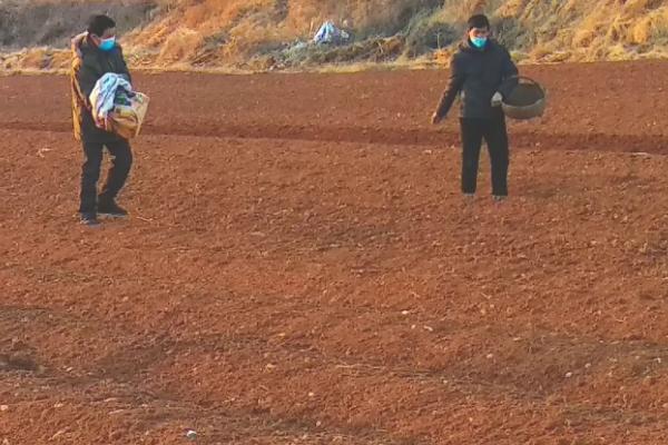 磷酸二铵肥料含量