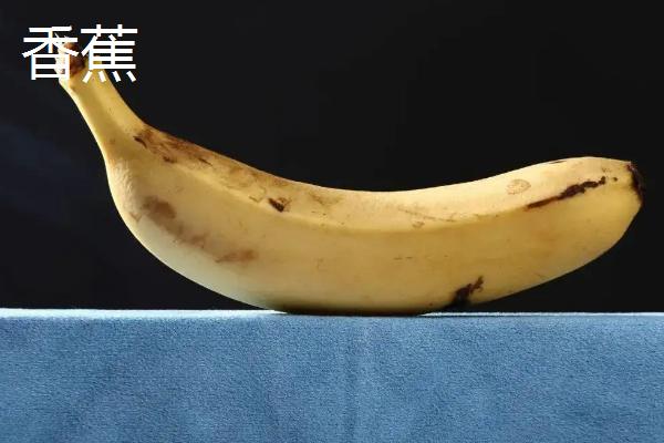 锦鲤鱼饲料买哪种