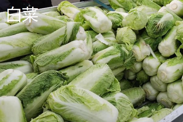 锦鲤鱼饲料买哪种