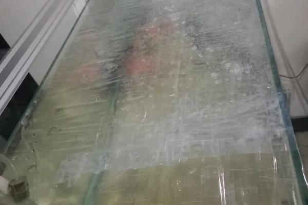 锦鲤鱼为什么跳缸