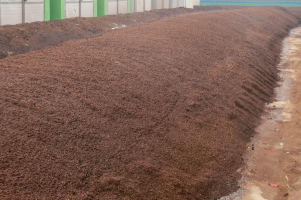 新疆盐碱地怎么改良土壤