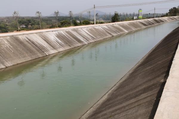 新疆盐碱地怎么改良土壤