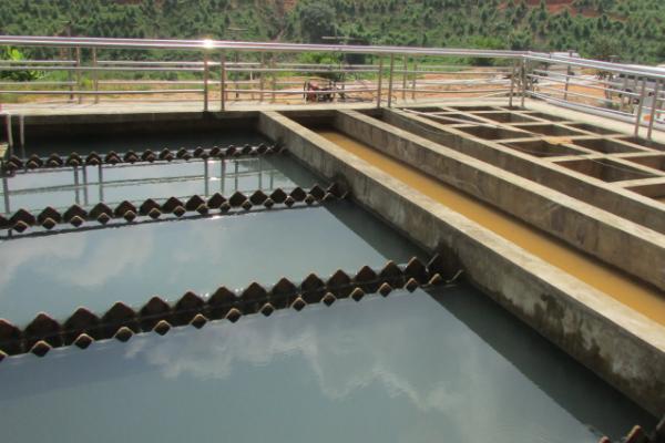 新疆盐碱地怎么改良土壤