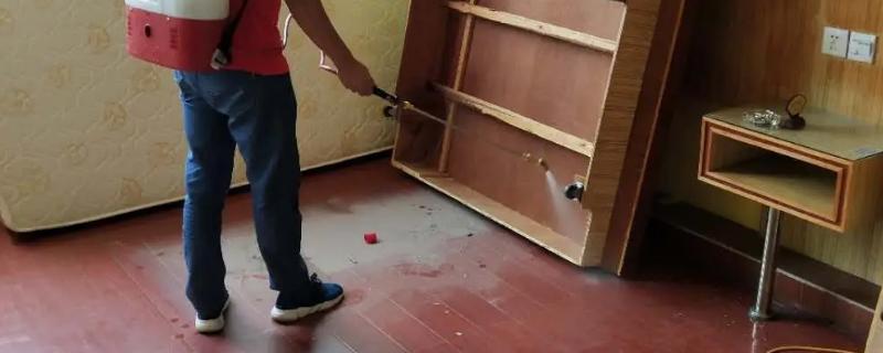 喷了杀虫剂蟑螂多久会死