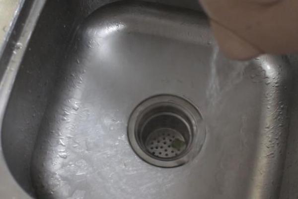 喷了杀虫剂蟑螂多久会死