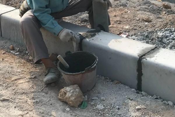 白天喷杀虫剂能杀死蟑螂吗