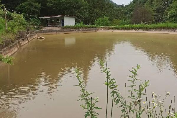 90敌百杀虫剂鱼塘用量