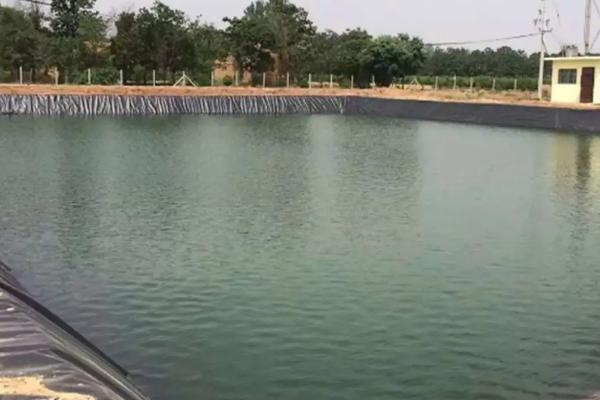 90敌百杀虫剂鱼塘用量