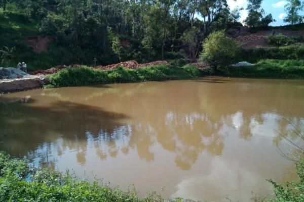 90敌百杀虫剂鱼塘用量