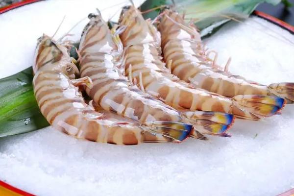 草虾是海虾还是河虾