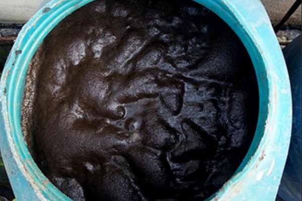 晒干的羊粪还用发酵吗