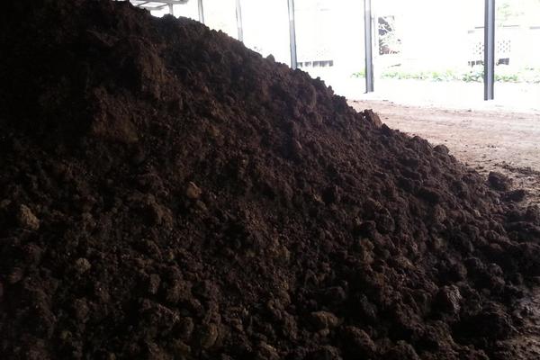 晒干的羊粪还用发酵吗