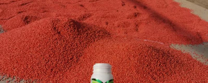 小麦全蚀病用什么药拌种