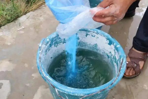 农药波尔多液的主要成分