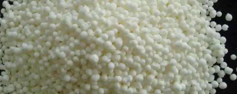 为什么要禁止使用硝态氮肥