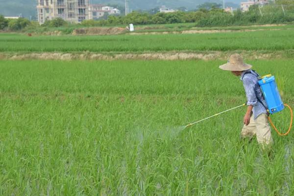 氯氰毒死蜱主要杀什么虫