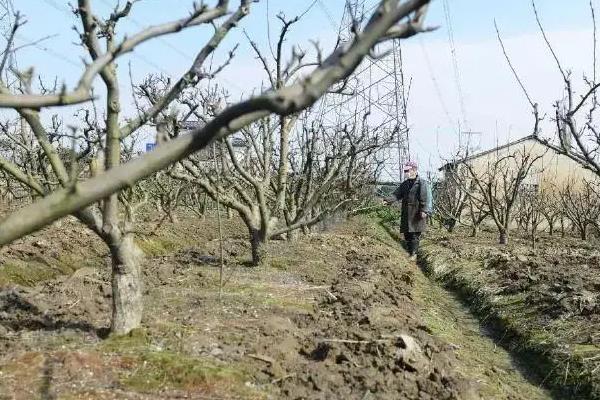 波尔多液最佳使用时间
