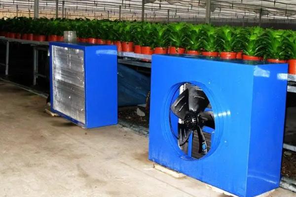 反季节蔬菜大棚需要加温吗