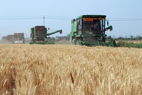 芒种的农事活动