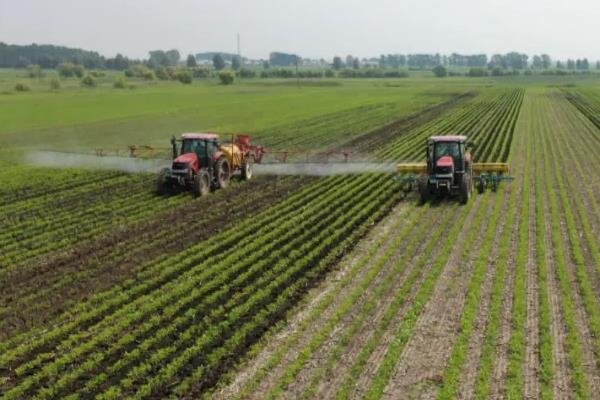 芒种的农事活动