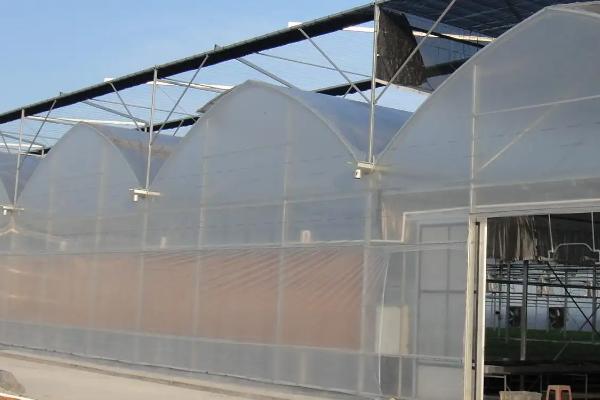 反季节蔬菜大棚需要加温吗